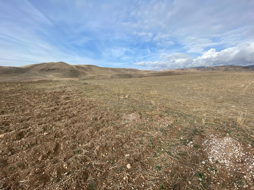 KAYSERİ DEVELİ REŞADİYE MAHALLESİ ÜZÜMLÜKAYA MEVKİİNDE SATILIK 12.690 m2 TARLA